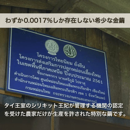 MAYURO【ﾃﾞﾘｹｰﾄｿﾞｰﾝの洗浄＆保湿】金繭ｼｭｶﾞｰﾓｲｯｼｭ