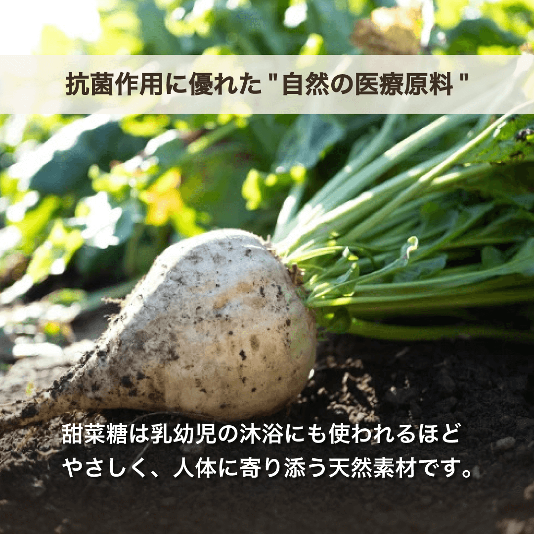 MAYURO【ﾃﾞﾘｹｰﾄｿﾞｰﾝの洗浄＆保湿】金繭ｼｭｶﾞｰﾓｲｯｼｭ