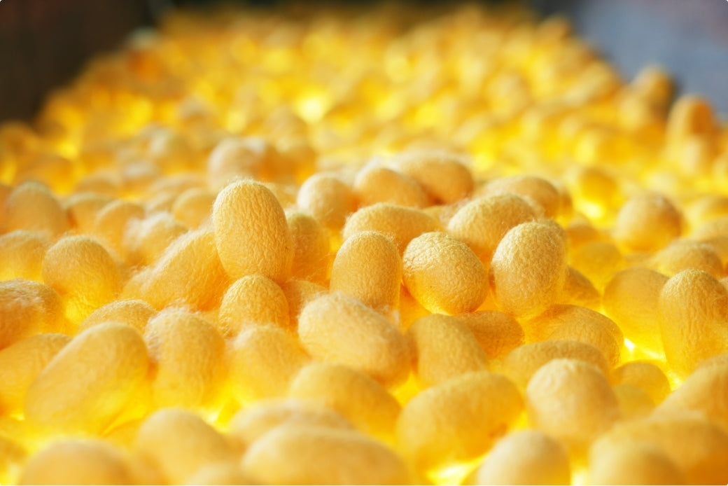 home_image04